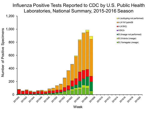 INFLUENZA Virus Isolated