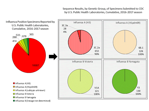 Genetic Characterization