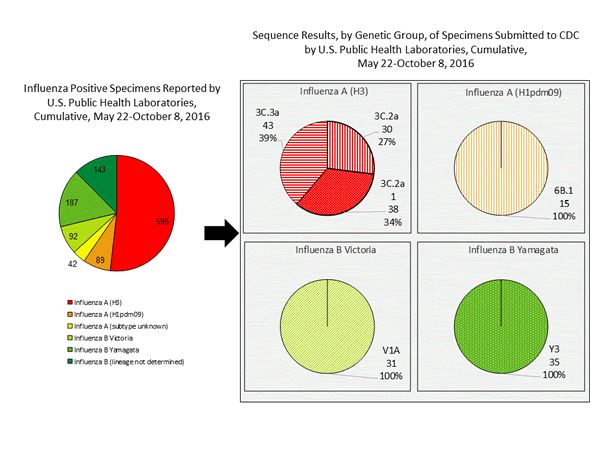 Genetic Characterization