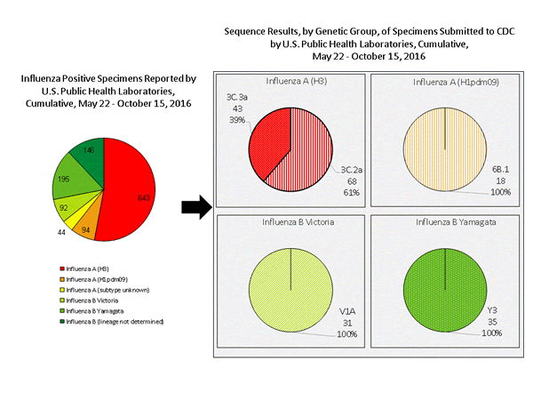 Genetic Characterization