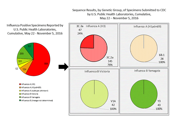 Genetic Characterization
