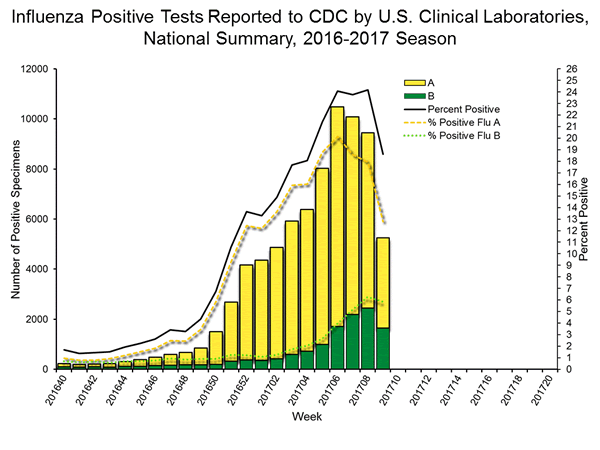 INFLUENZA Virus Isolated