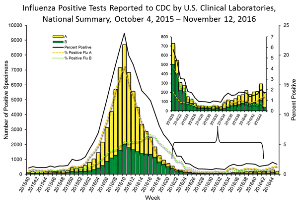 INFLUENZA Virus Isolated