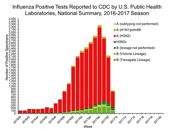 INFLUENZA Virus Isolated
