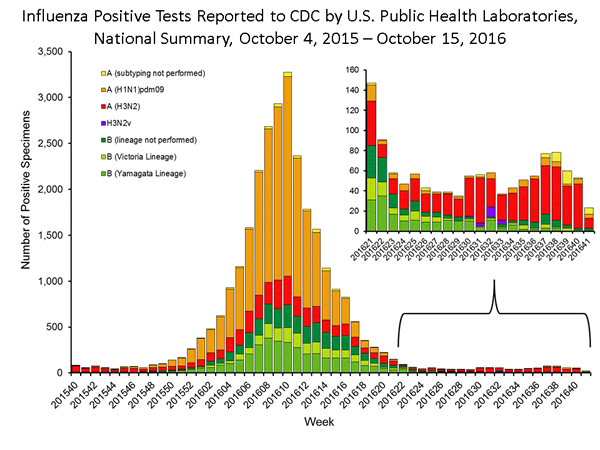 INFLUENZA Virus Isolated