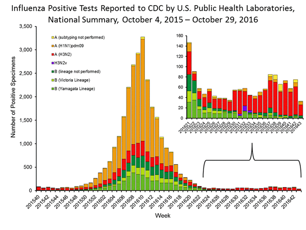 INFLUENZA Virus Isolated