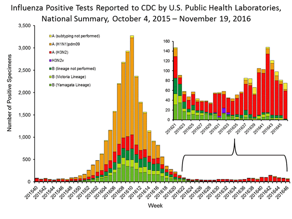 INFLUENZA Virus Isolated