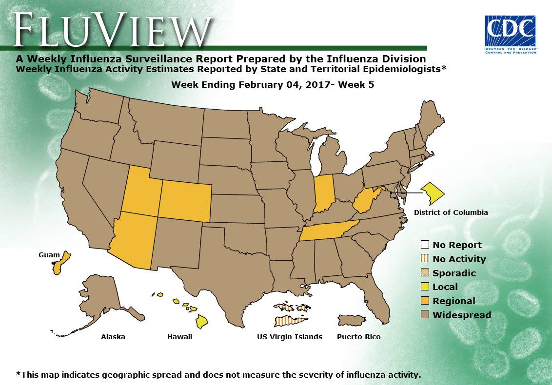 Weekly Flu Activity Map: Week 05