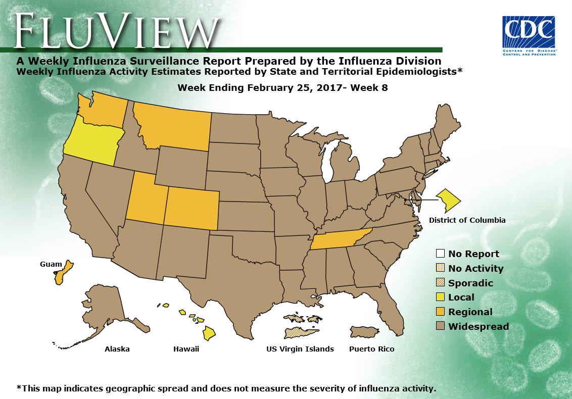 Weekly Flu Activity Map: Week 08