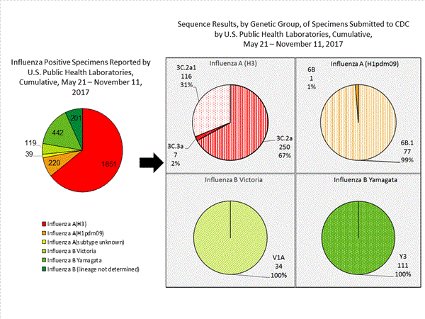 Genetic Characterization