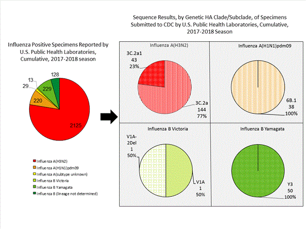 Genetic Characterization
