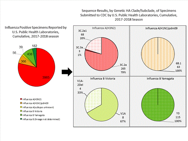 Genetic Characterization