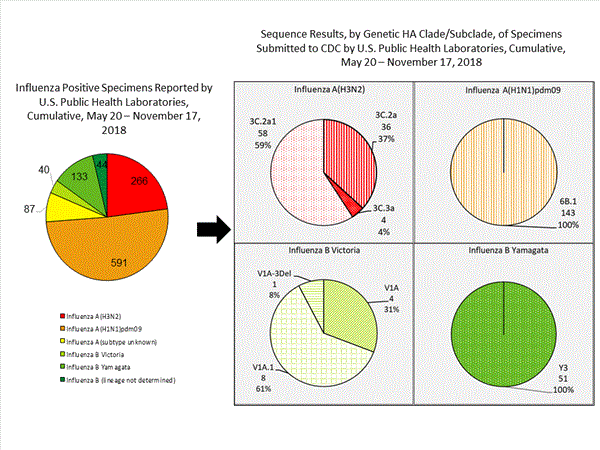 Genetic Characterization