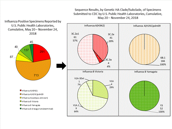 Genetic Characterization
