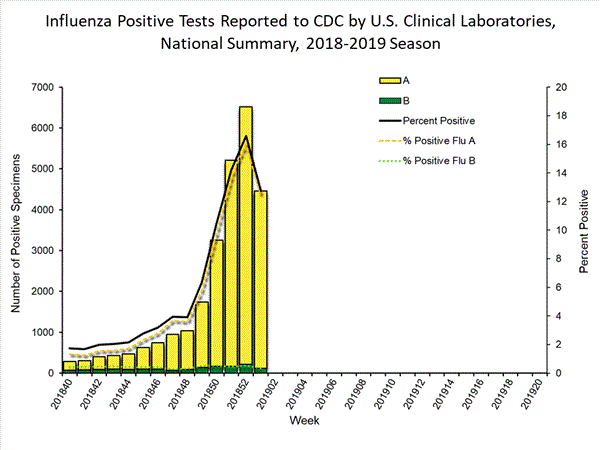 INFLUENZA Virus Isolated