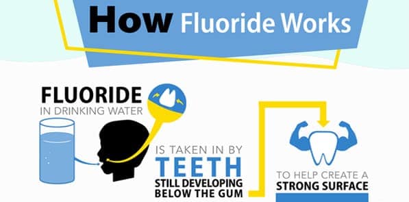 Fluoride in drinking water is taken in by teeth still developing below the gum to help create a strong surface, protecting the teeth from cavities. In children and adults teeth are bathed in fluoride when drinking water, giving teeth the fluoride they need all day long. Acid produced by bacteria in the mouth can create holes in the surface of the teeth. Fluoride helps protect and rebuild this surface, preventing about 25% of cavities.