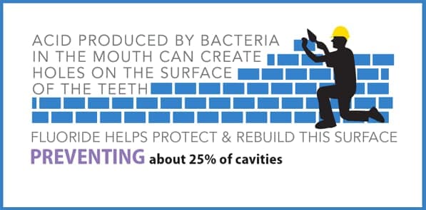 Illustration of man building a brick wall. Text: Acid produced by bacteria in the mouth can create holes in the surface of the teeth. Fluoride helps protect and rebuild this surface, preventing about 25% of cavities.