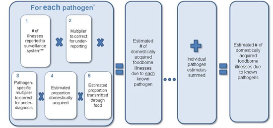 Figure 1 is a diagram, depicting an equation used to estimate illnesses for pathogens known to cause foodborne illness for the year 2011. The equation is as follows: For each pathogen multiply the number of illnesses reported to surveillance system multiplied by the multiplier to correct for under-reporting multiplied by the pathogen-specific multiplier to correct for under-diagnosis multiplied by the estimated proportion domestically acquired multipiled by the estimated proportion transmitted through food. That results in the estimated number of domestically acquired foodborne illnesses due to each known pathogen, which is then added to the individual pathogen estimates summed. The final result is the estimated # of domestically acquired foodborne illnesses due to known pathogens.