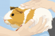 person holding guinea pig