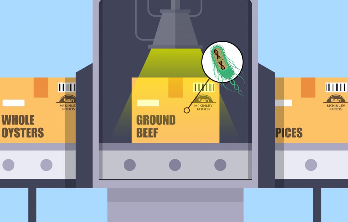 Foods pass under a beam of radiation in the irradiation chamber