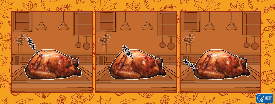Use a meat thermometer for properly cooked turkey