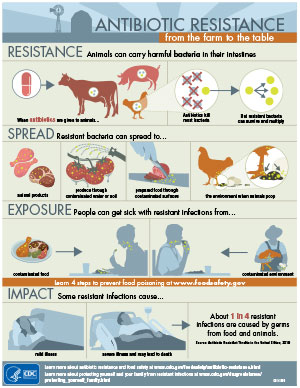 Infographic: Antibiotic Resistance: From the Farm to the Table