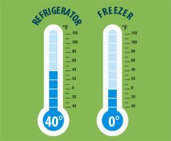 Graphic of refrigerator and freezer thermometers