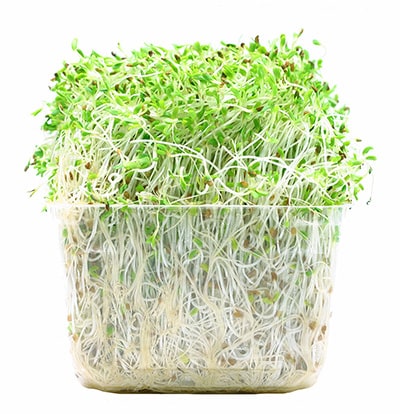 Close up image of Sprouts