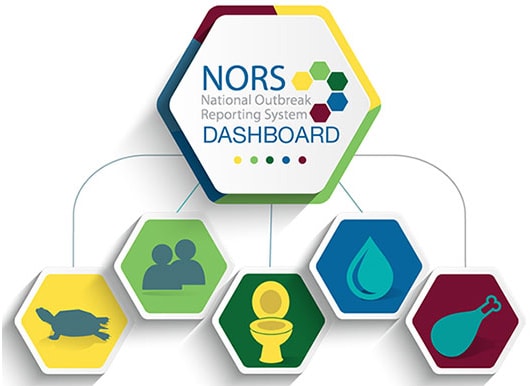 Illustration showing the logo for the National Outbreak Reporting System Dashboard.