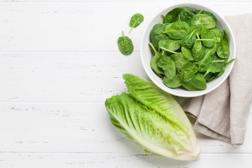 Lettuce, Other Leafy Greens, and Food Safety | CDC