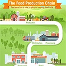Infographic of food production chain