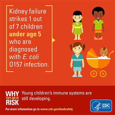 Image showing graphics for download about how kidney failure strikes 1 out of 7 children under age 5 who are diagnosed with E. coli 157 infection