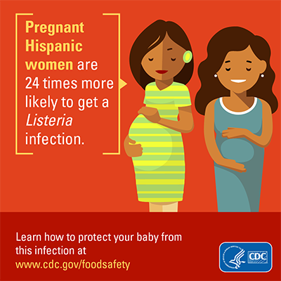 Image showing download graphics about how Pregnant hispanic women are 24 times more likely to get a listeria infection