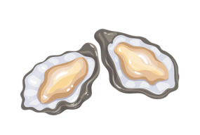 Raw oysters and food poisoning