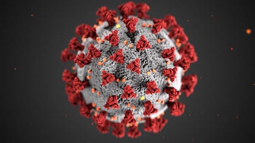 Taudintorjunta- ja ennaltaehkäisykeskuksessa (CDC) luodussa kuvassa näkyy koronavirusten ultrastruktuurinen morfologia. Huomaa viruksen ulkopintaa koristavat piikit, jotka elektronimikroskooppisesti tarkasteltuna antavat virionia ympäröivän koronan vaikutelman. Uusi koronavirus, nimeltään vakavan akuutin hengitystieoireyhtymän koronavirus 2 (SARS-CoV-2), tunnistettiin syynä hengitystiesairauden puhkeamiseen, joka havaittiin ensimmäisen kerran Wuhanissa, Kiinassa vuonna 2019. Tämän viruksen aiheuttama sairaus on nimetty vuoden 2019 koronavirustauti (COVID-19).