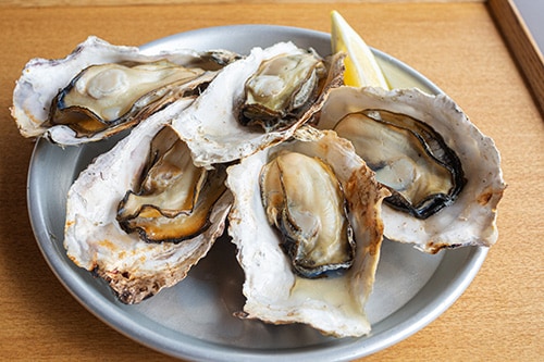 Oysters on a plate.