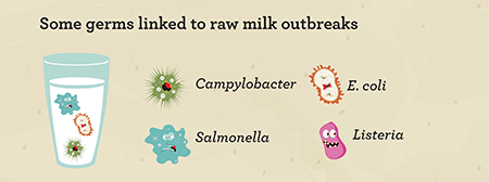 Germs linked to raw milk outbreaks - campylobacgter, e.coli, salmonella and listeria
