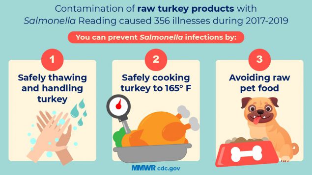 A small infographic with illustrated safety tips for handling raw turkey.
