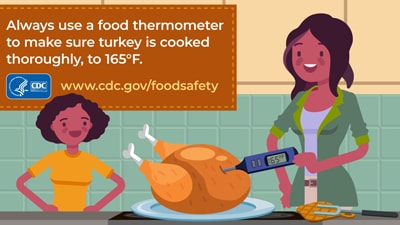 Graphic of mother and daughter in the kitchen cooking a turkey and mother is checking the turkey's temperature