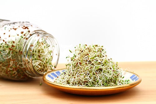 Raw sprouts on a plate.