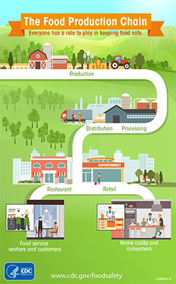 The Food Production Chain. Click the image to get a larger view.