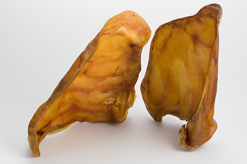 Salmonella and Pig Ear Pet Treats for Dogs