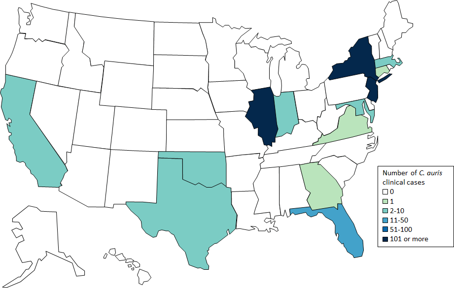current map of the number of c. auris clinical cases in the United States