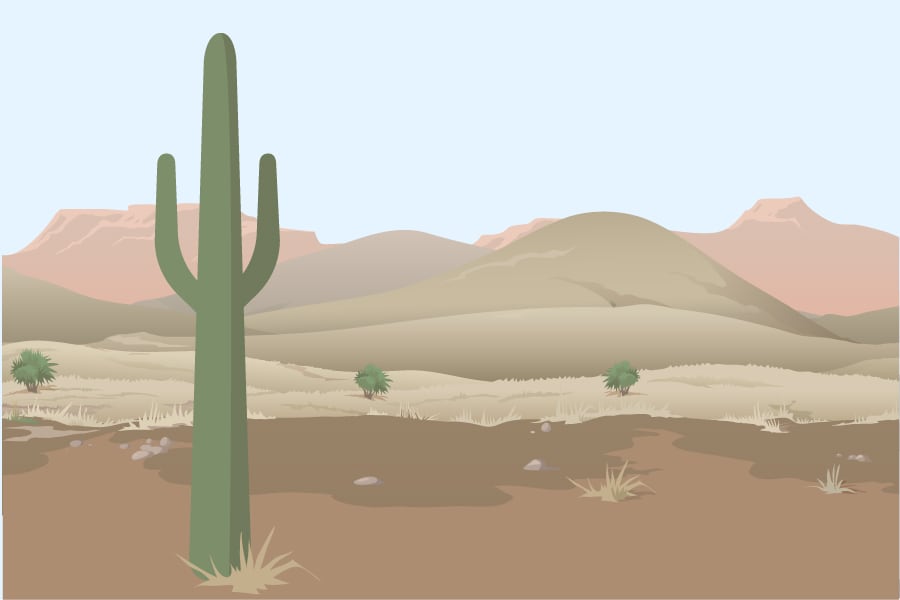 Image of desert