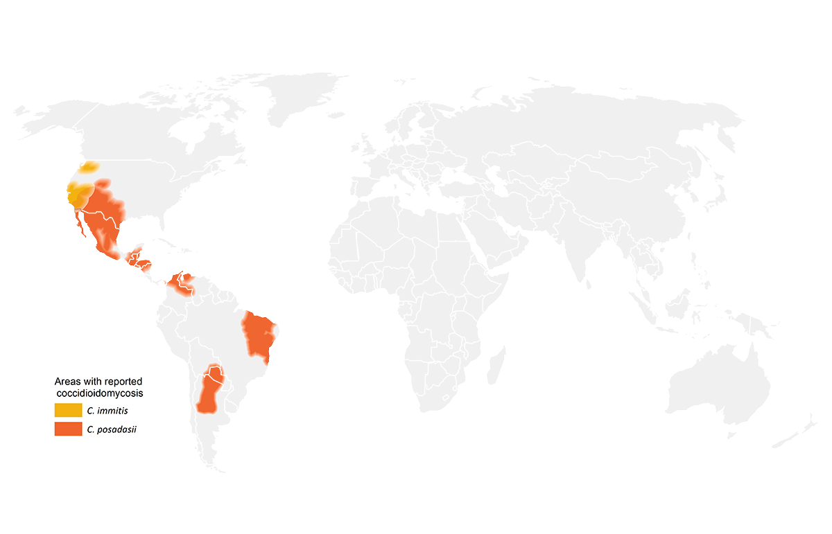 Imagen de areas a nivel mundial en las que se estima que hay coccidioidomicosis (fiebre del valle)