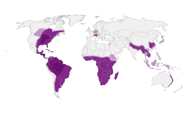 .Estimated areas with histoplasmosis worldwide