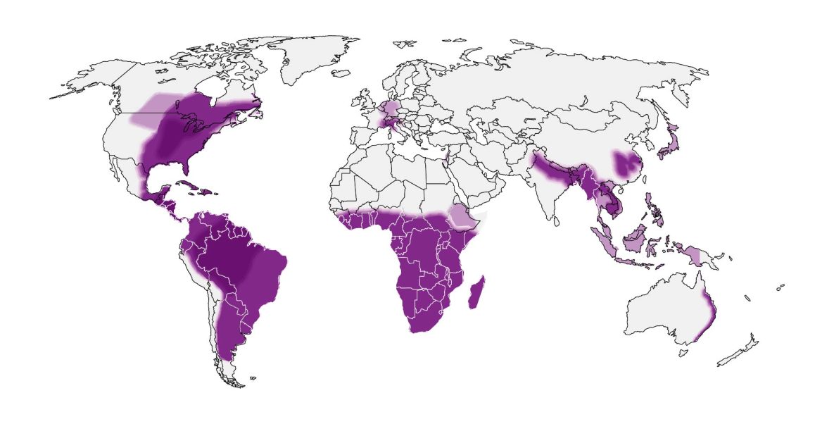 Patient living in or having traveled to a histoplasmosis-endemic area - eastern U.S., most of South America, Southern Africa, central Europe, India, western China, Myanmar, Thailand, and Cambodia