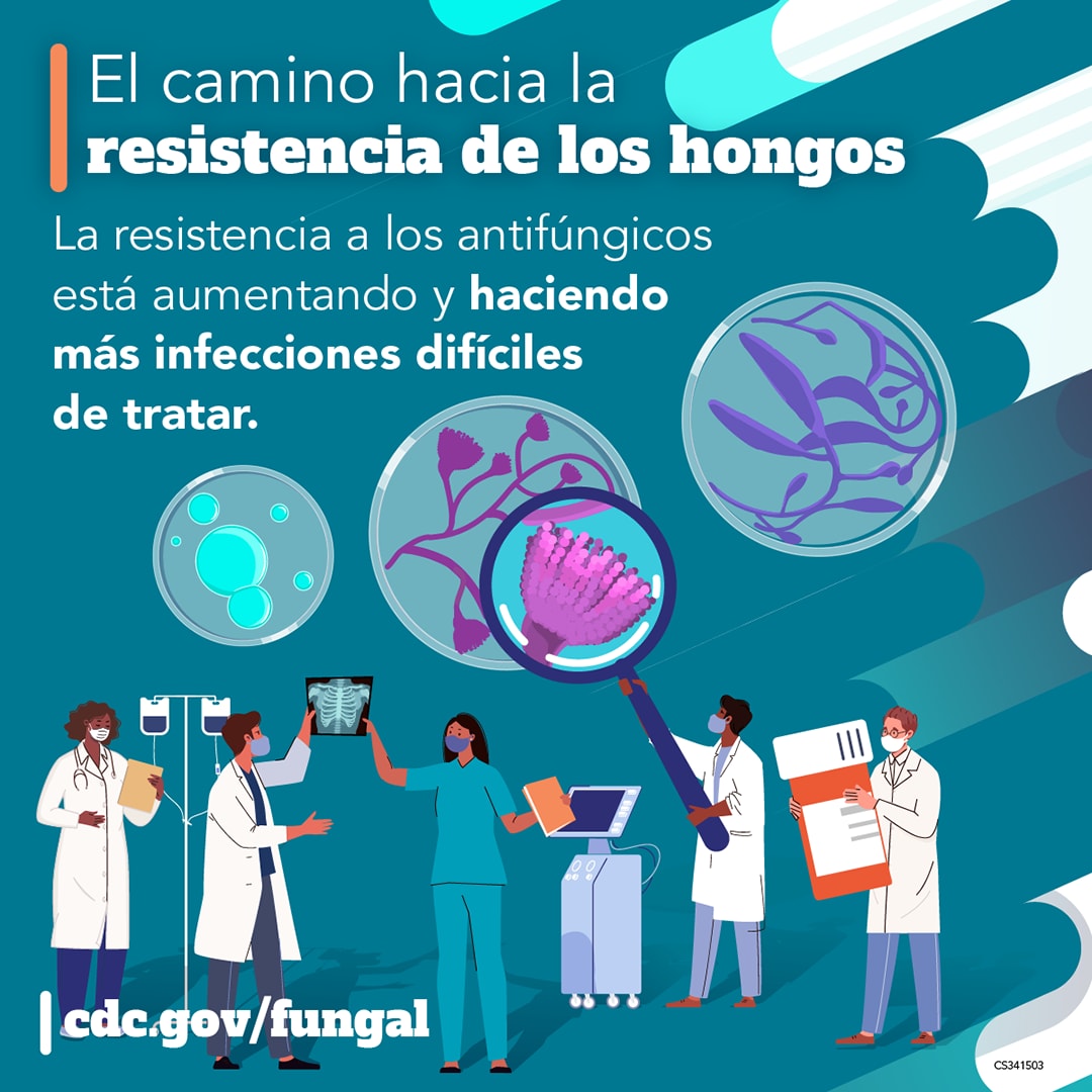 El camino hacia la resistencia de los hongos: La resistencia a los antifúngicos está aumetando y hacidendo más infecciones difíciles de tratar cdc.gov/fungal