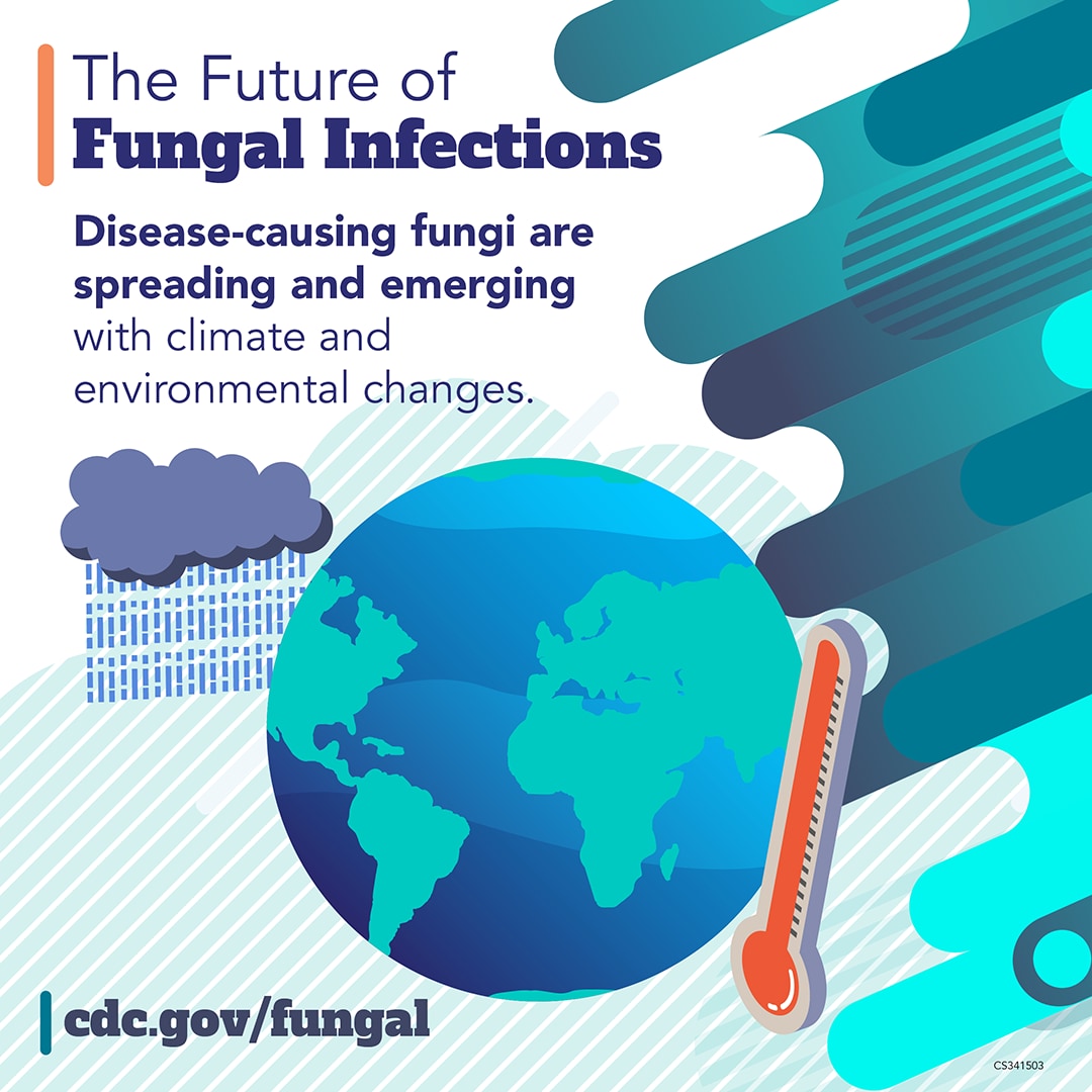 The Future of Fungal Infections: Disease-causing fungi are spreading and emerging with climate and environmental changes.  cdc.gov/fungal