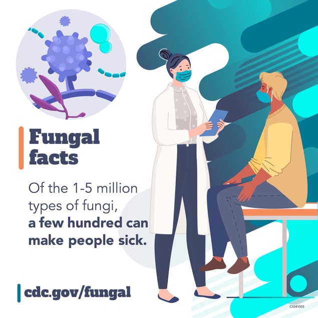Fungal facts: Of the 1-5 million types of fungi, a few hundred can make people sick.